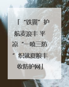 “铁翼”护航麦浪丰 平凉“一喷三防”织就夏粮丰收防护网