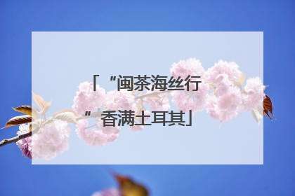 “闽茶海丝行”香满土耳其
