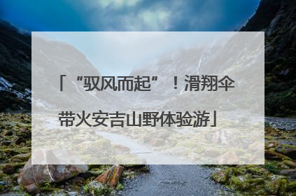 “驭风而起”！滑翔伞带火安吉山野体验游