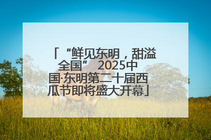 “鲜见东明，甜溢全国” 2025中国·东明第二十届西瓜节即将盛大开幕