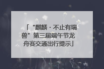 “麒麟・不止有瑞兽”第三届端午节龙舟赛交通出行提示