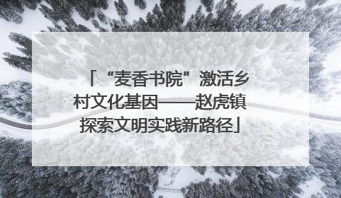“麦香书院”激活乡村文化基因——赵虎镇探索文明实践新路径