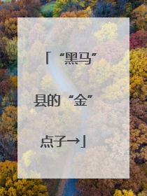 “黑马”县的“金”点子→