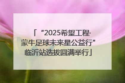 “2025希望工程·蒙牛足球未来星公益行”临沂站选拔圆满举行
