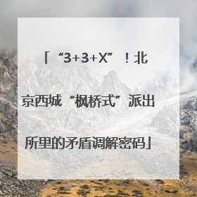“3+3+X”！北京西城“枫桥式”派出所里的矛盾调解密码
