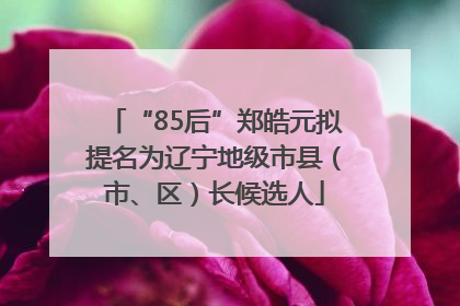 “85后”郑皓元拟提名为辽宁地级市县（市、区）长候选人