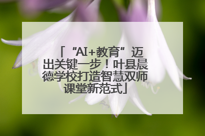 “AI+教育”迈出关键一步！叶县晨德学校打造智慧双师课堂新范式