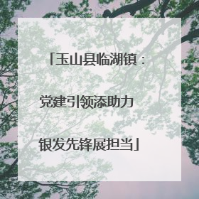 玉山县临湖镇：党建引领添助力 银发先锋展担当