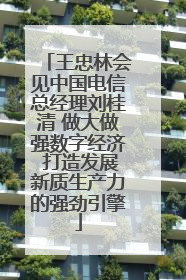 王忠林会见中国电信总经理刘桂清 做大做强数字经济 打造发展新质生产力的强劲引擎