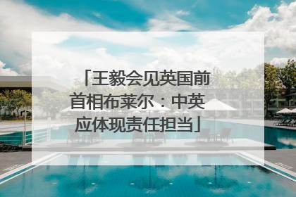 王毅会见英国前首相布莱尔：中英应体现责任担当