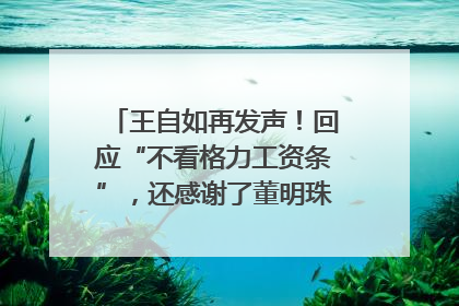 王自如再发声！回应“不看格力工资条”，还感谢了董明珠和雷军｜热财经