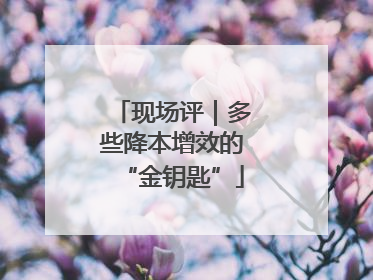现场评｜多些降本增效的“金钥匙”