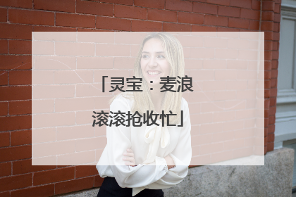 灵宝：麦浪滚滚抢收忙