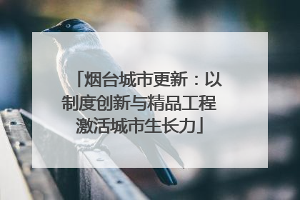 烟台城市更新：以制度创新与精品工程激活城市生长力