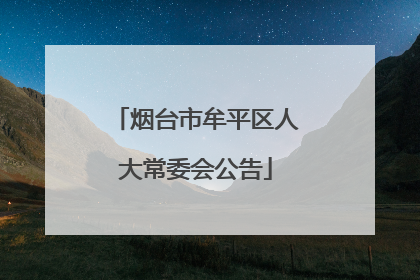 烟台市牟平区人大常委会公告