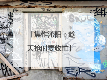 焦作沁阳：趁天抢时麦收忙