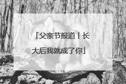 父亲节报道丨长大后我就成了你