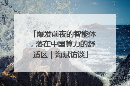 爆发前夜的智能体，落在中国算力的舒适区｜海斌访谈