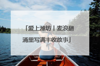 爱上潍坊丨麦浪翻涌里写满丰收故事