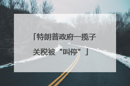特朗普政府一揽子关税被“叫停”