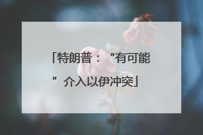 特朗普：“有可能”介入以伊冲突