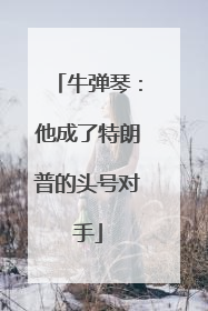 牛弹琴：他成了特朗普的头号对手