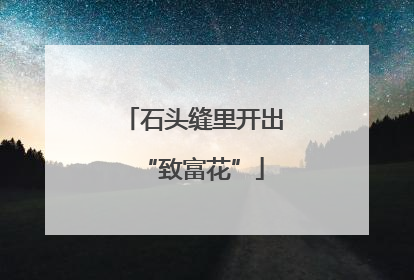 石头缝里开出“致富花”