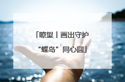 瞭望丨画出守护“蝶岛”同心圆