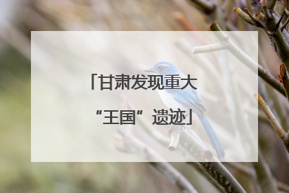 甘肃发现重大“王国”遗迹