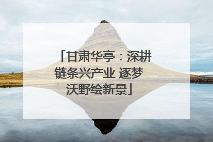 甘肃华亭：深耕链条兴产业 逐梦沃野绘新景