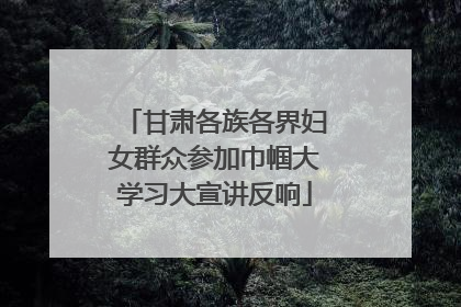 甘肃各族各界妇女群众参加巾帼大学习大宣讲反响