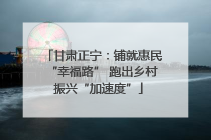 甘肃正宁：铺就惠民“幸福路” 跑出乡村振兴“加速度”