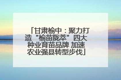 甘肃榆中：聚力打造“榆苗陇萃”四大种业育苗品牌 加速农业强县转型步伐