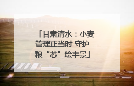 甘肃清水：小麦管理正当时 守护粮“芯”绘丰景