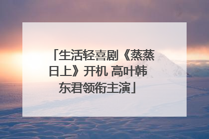 生活轻喜剧《蒸蒸日上》开机 高叶韩东君领衔主演