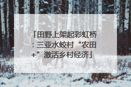 田野上架起彩虹桥：三亚水蛟村“农田+”激活乡村经济