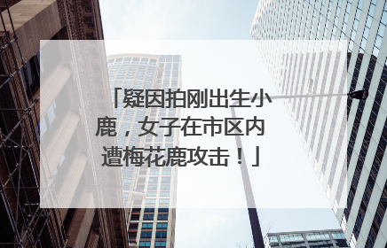 疑因拍刚出生小鹿，女子在市区内遭梅花鹿攻击！