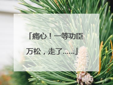 痛心！一等功臣万松，走了……