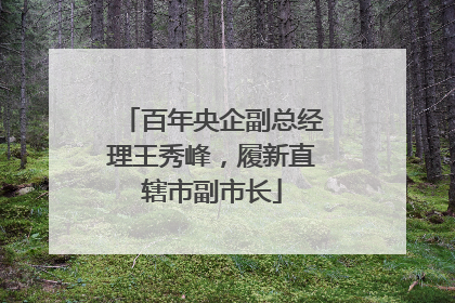 百年央企副总经理王秀峰，履新直辖市副市长