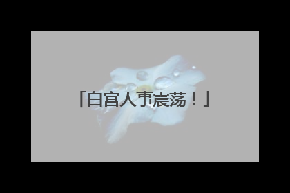 白宫人事震荡！