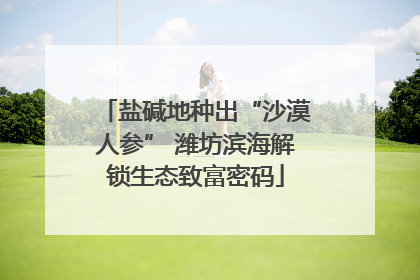 盐碱地种出“沙漠人参” 潍坊滨海解锁生态致富密码