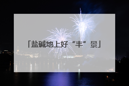 盐碱地上好“丰”景