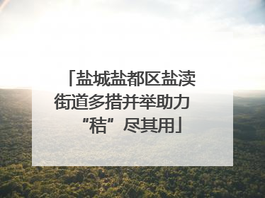 盐城盐都区盐渎街道多措并举助力“秸”尽其用
