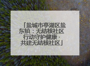 盐城市亭湖区盐东镇：无结核社区行动守护健康 ·共建无结核社区