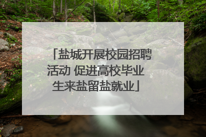 盐城开展校园招聘活动 促进高校毕业生来盐留盐就业