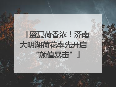 盛夏荷香浓！济南大明湖荷花率先开启“颜值暴击”
