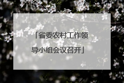 省委农村工作领导小组会议召开