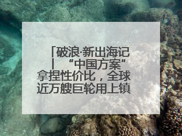 破浪·新出海记丨 “中国方案”拿捏性价比，全球近万艘巨轮用上镇江“节能桨”