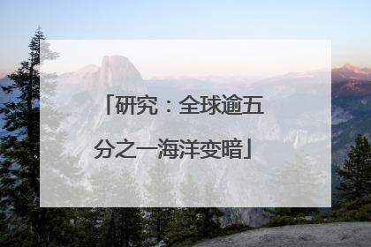 研究：全球逾五分之一海洋变暗