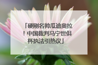 硬刚名帅瓜迪奥拉！中国裁判马宁世俱杯执法引热议